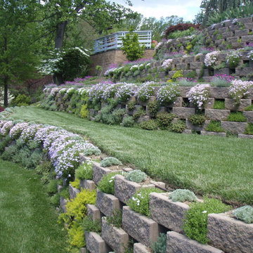 Living Walls - A Terraced Garden in Pikesville