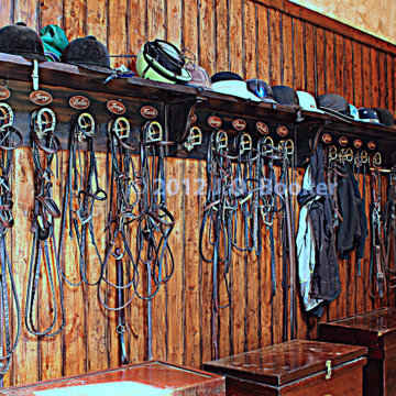 Custom Arena & Horse Stables
