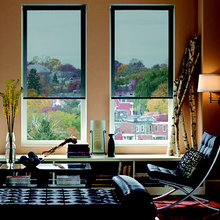 Sight and Delight Through the Solar Shade Sheer