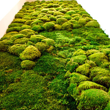 Mirraggio Thermal Spa Resort moss art