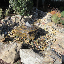 Landscape Ideas
