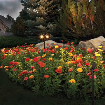 LED Outdoor and Landscape Lighting