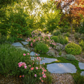 Lush, Layered Garden Retreat in Woodside, CA