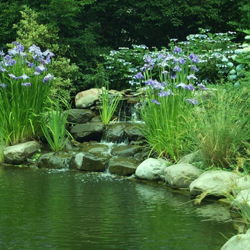 Ponds