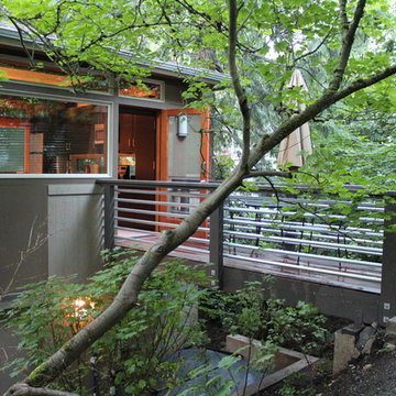 Urban Treehouse DADU