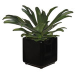 House of Silk Flowers, Inc. - Artificial Staghorn Succulent in Black Cube Ceramic - This contemporary artificial staghorn succulent is handcrafted by House of Silk Flowers. This plant will complement any decor, whether in your home or at the office. A professionally-arranged artificial EVA foam staghorn succulent plant is securely "potted" in a contemporary glazed black cube ceramic vase (6" cube). It is arranged for 360-degree viewing. The overall dimensions are measured leaf tip to lead tip, bottom of planter to tallest leaf tip: 13" tall x 13" diameter. Measurements are approximate, and will be determined by your final shaping of the plant upon unpacking it. No arranging is necessary, only minor shaping, with the way in which we package and ship our products. This item is only recommended for indoor use.