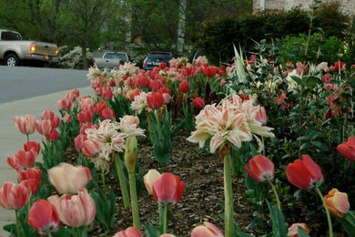Inspiration for a landscaping in Other.