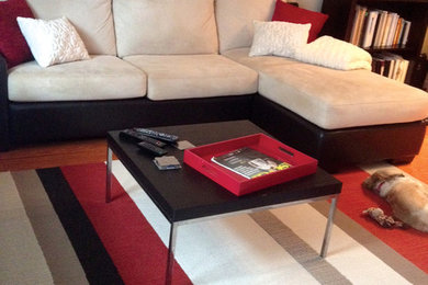 Example of a trendy living room design in DC Metro