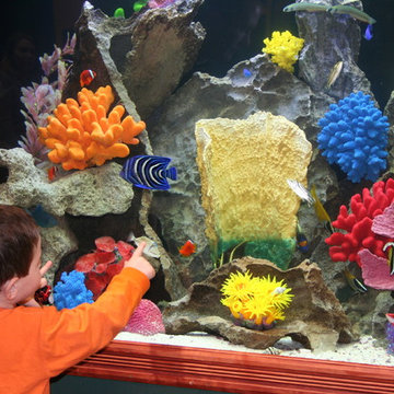 Built In Aquariums