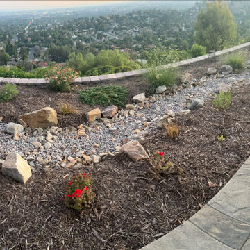 Xeriscape & Native Garden with Waterfall