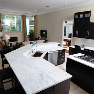 Avila - Transitional - Contemporary Kitchen Upgrade