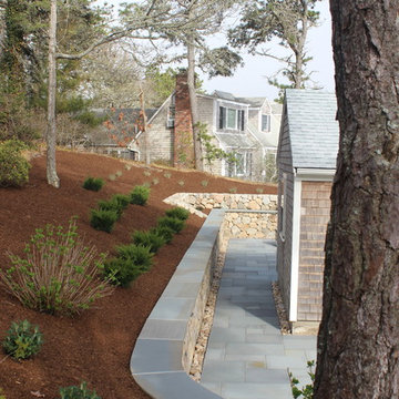 Compete yard renovation