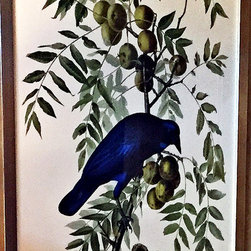 Framed Art Print  ""AMERICAN CROW" - from "Birds of America - Fine Art Prints