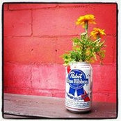 Erica Dvorachek's photo