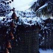 Gunnell Borge's photo