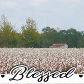Cindy Rainey Graves's photo