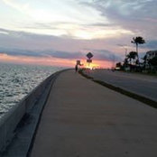 Kaitlin Babbitt's photo
