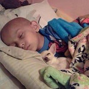 Lisa O'Connell's photo