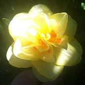 Colleen Theis's photo