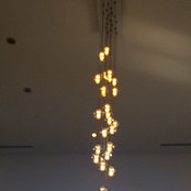 Shari Shea's photo
