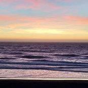 Roxanne Gentile's photo
