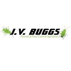 JV Buggs Inc