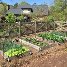 barb_gould's ideas