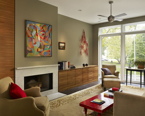 Best Olive Living Room with Green Walls Design Ideas & Remodel Pictures