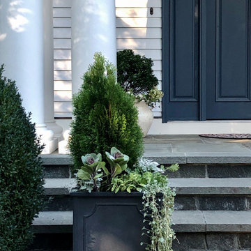 Arborvitae with cabbage