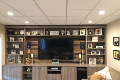 Basement - transitional basement idea in Detroit