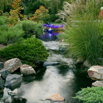 Japanese Garden Pond - Denver Botanic Garden