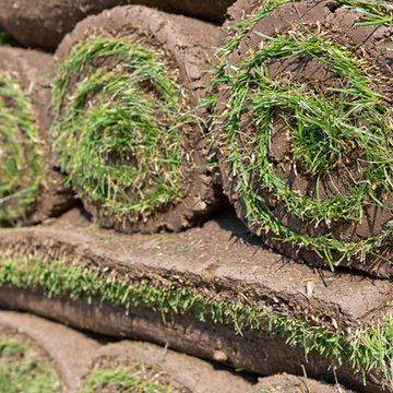 Sod Installation