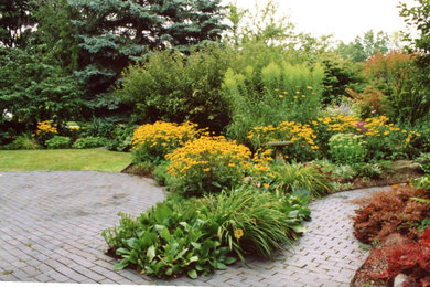 Vibrant Garden Design