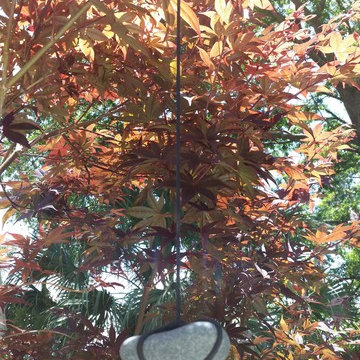 Japanese tree weights / Shaping technique