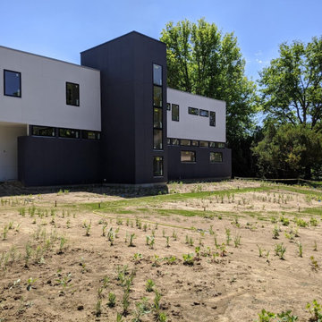 2020 Front Yard Meadow