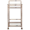Ivers Metal Mirrored Bar Cart, Champagne