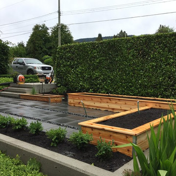 Veggie Beds
