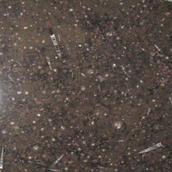 Fossil Brown Marble - Kitchen Countertops
