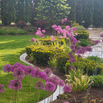 Luxe Landscape Maintenance