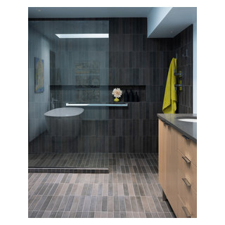 Mt Tabor Modern Primary Bath - Contemporary - Bathroom - Portland - by ...