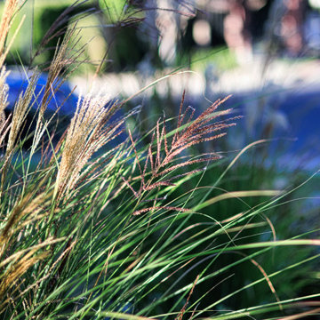 Front Yard Inspiration: Low Maintenance Design Ideas