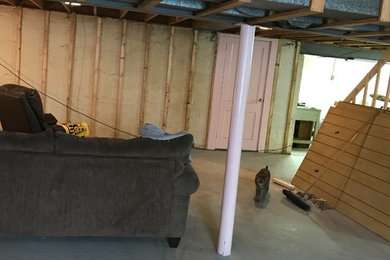 Basement Remodel