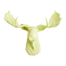 Decor