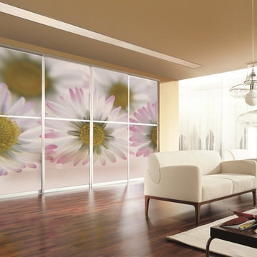 Custom Graphic Sliding Doors - "Decorativo"