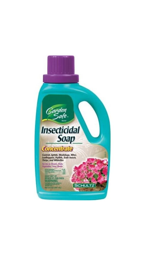 Garden Safe Insecticidal Soap Concentrate
