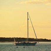 Anne Dawson's photo