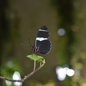 Foto von Al Ratheesh