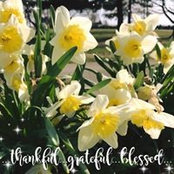 Debbie Voss's photo