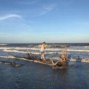 Melissa McBride's photo