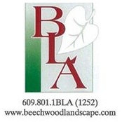 Beech Wood's photo